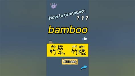 bamboo 意思|BAMBOO中文(繁體)翻譯：劍橋詞典